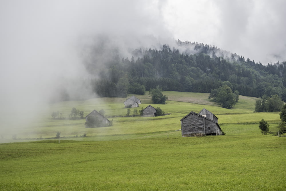 brown wooden house on green grass field near green trees covered with fog during daytime