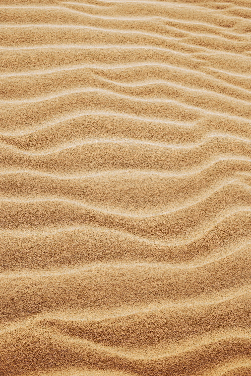 sabbia marrone con ombra di persona