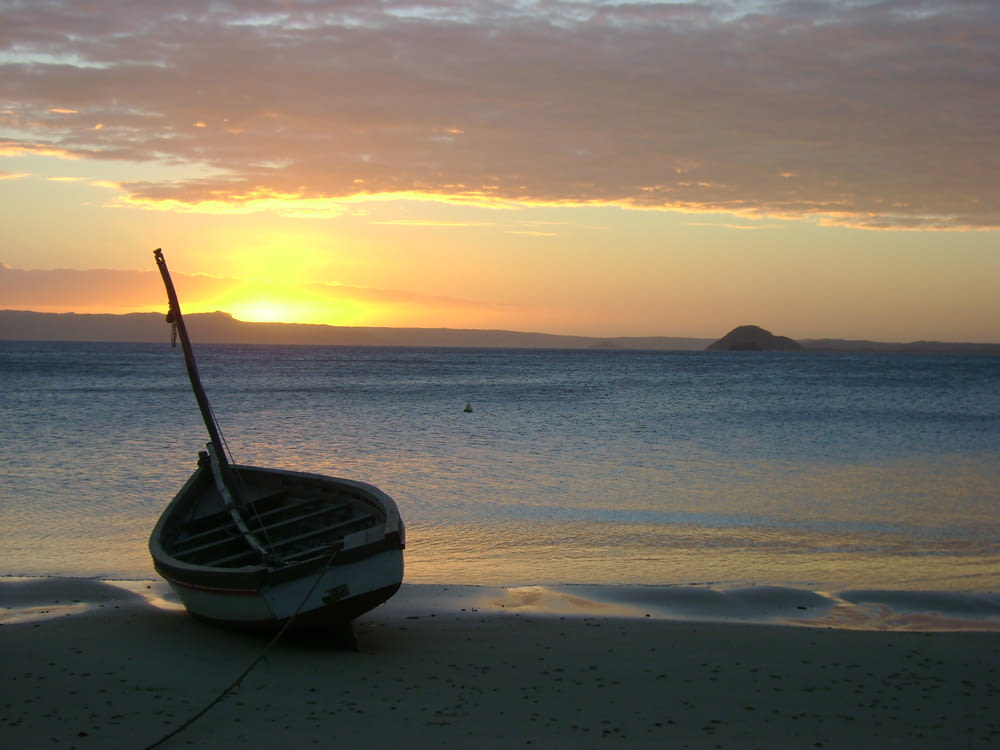 white and black boat on beach during sunset
