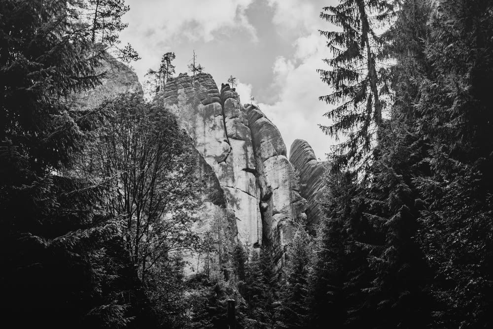 grayscale photo of trees and mountain