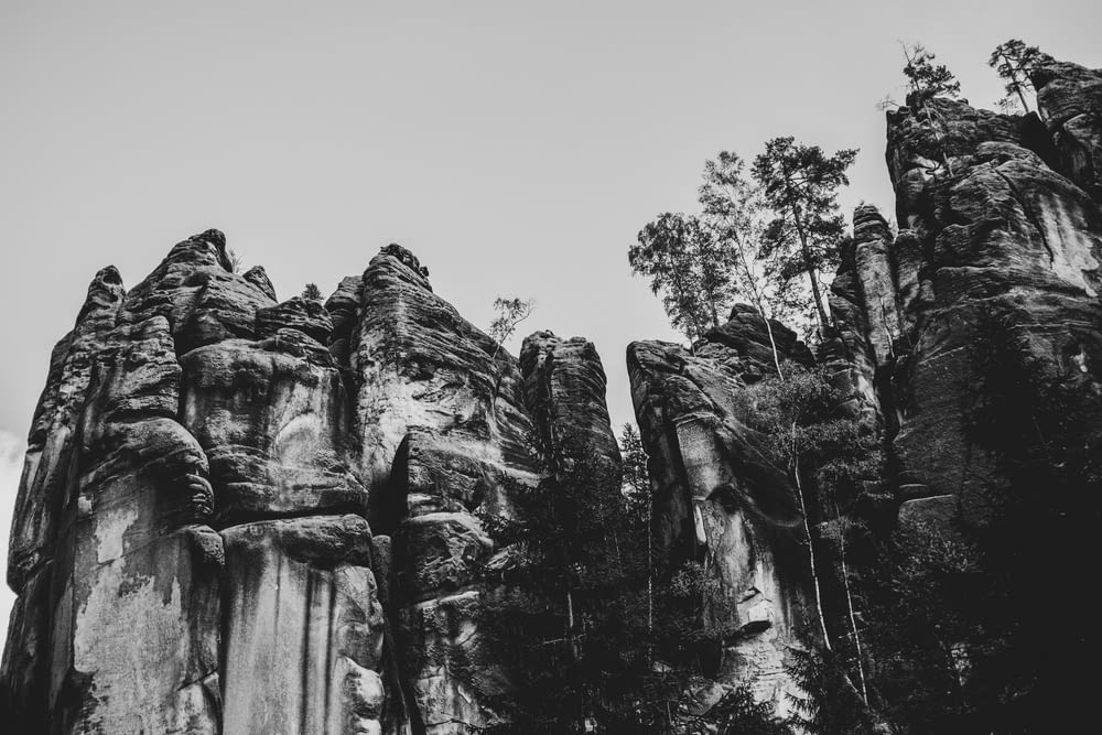 grayscale photo of trees and rock formation