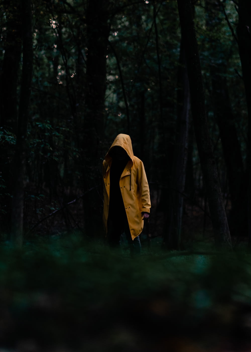 Persona in felpa con cappuccio gialla in piedi nei boschi