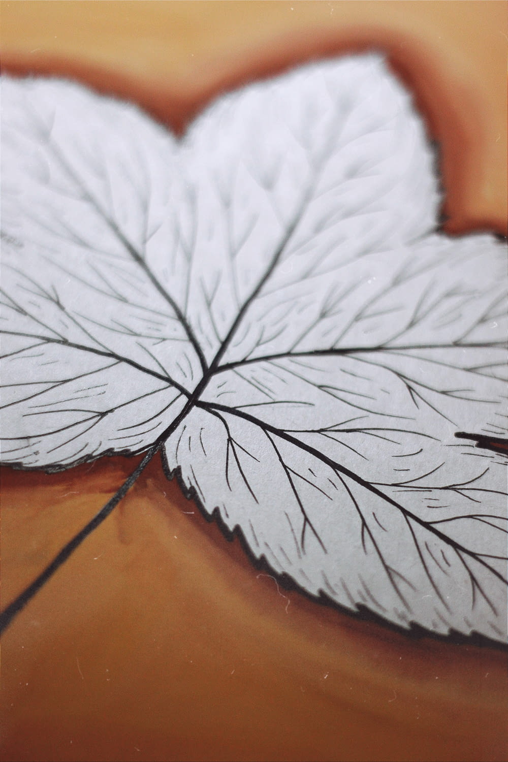 white and black leaf on brown surface