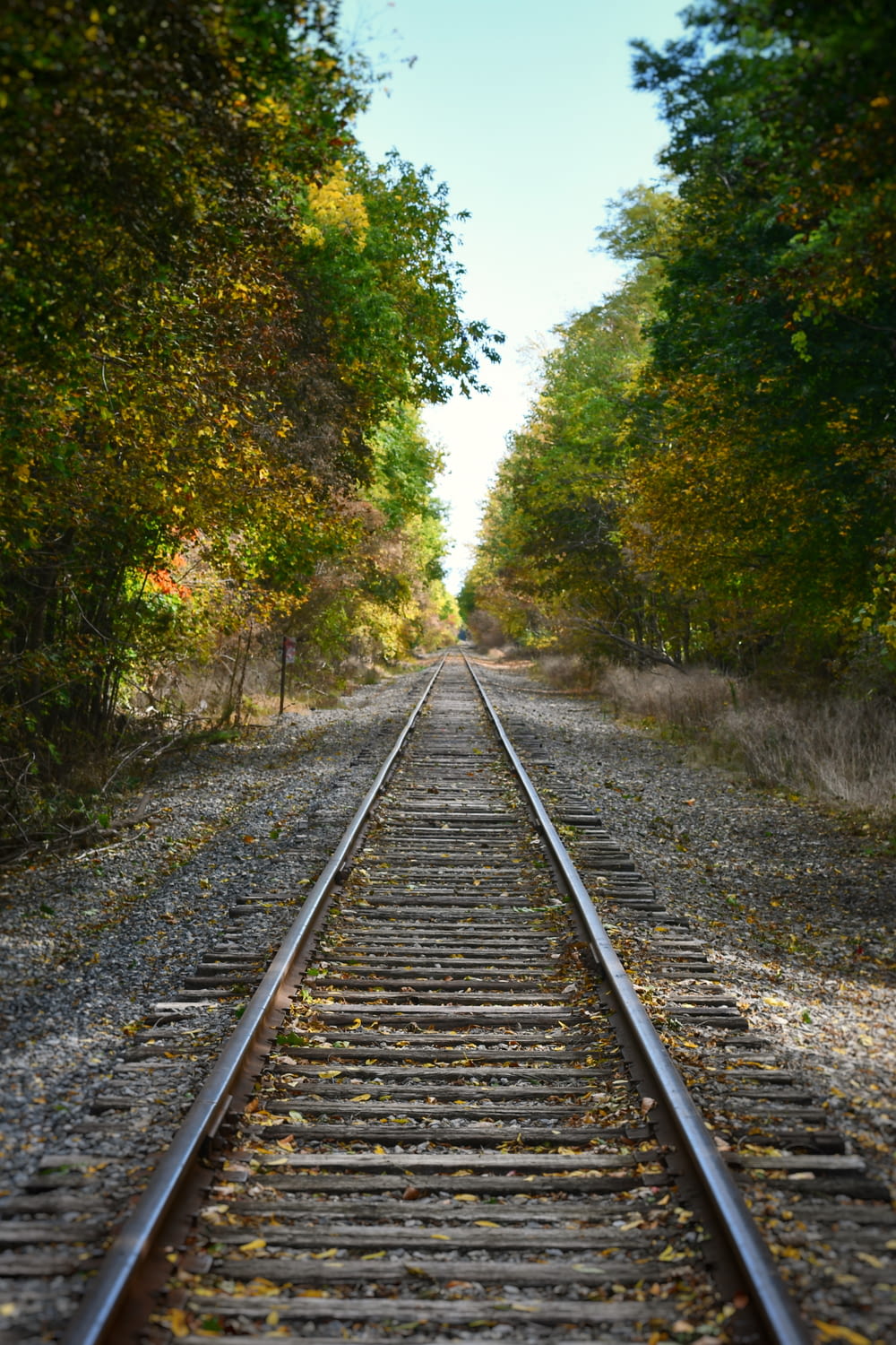 train rail between green trees during daytime