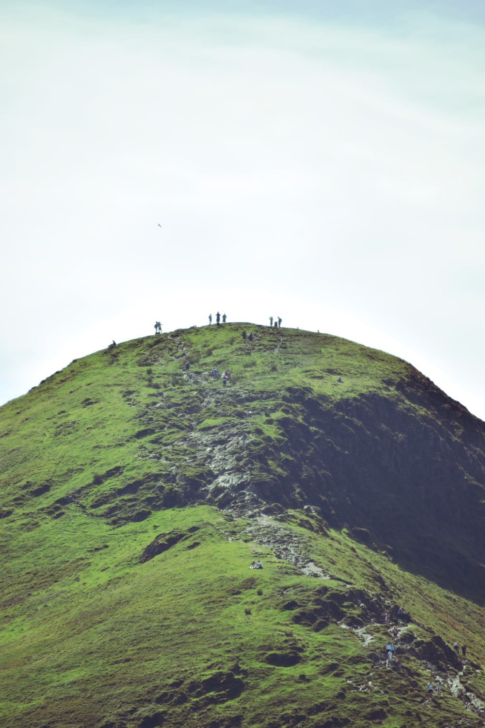 people standing on green mountain during daytime