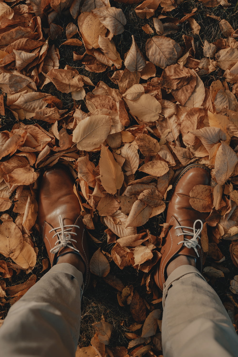 Persona che indossa scarpe di cuoio marrone in piedi su foglie secche