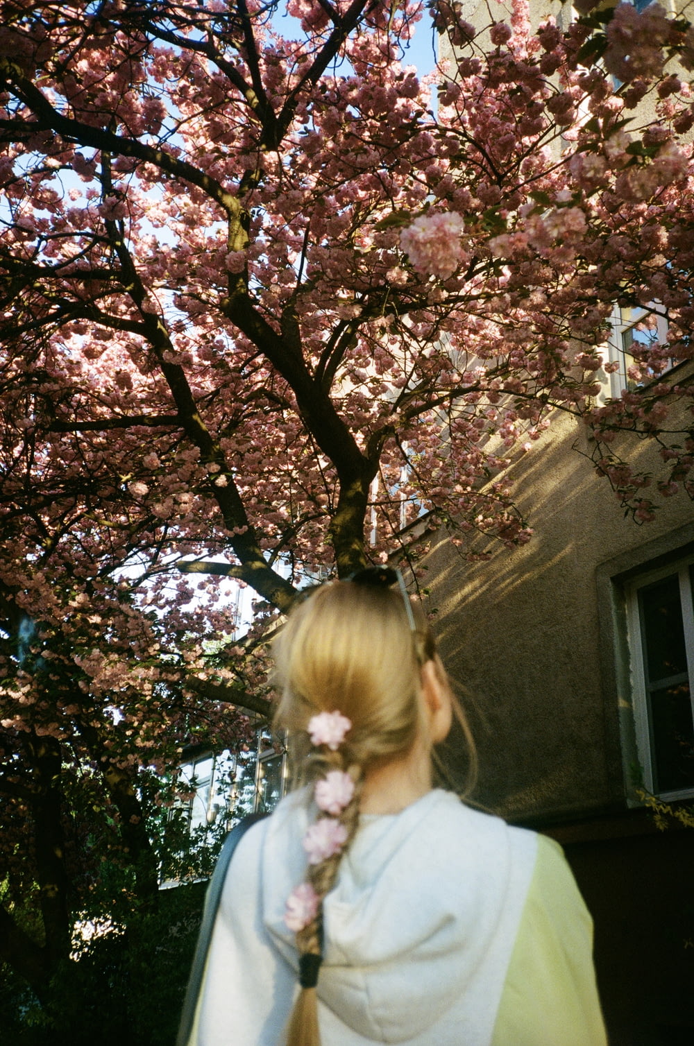 girl in white shirt standing under pink cherry blossom tree during daytime