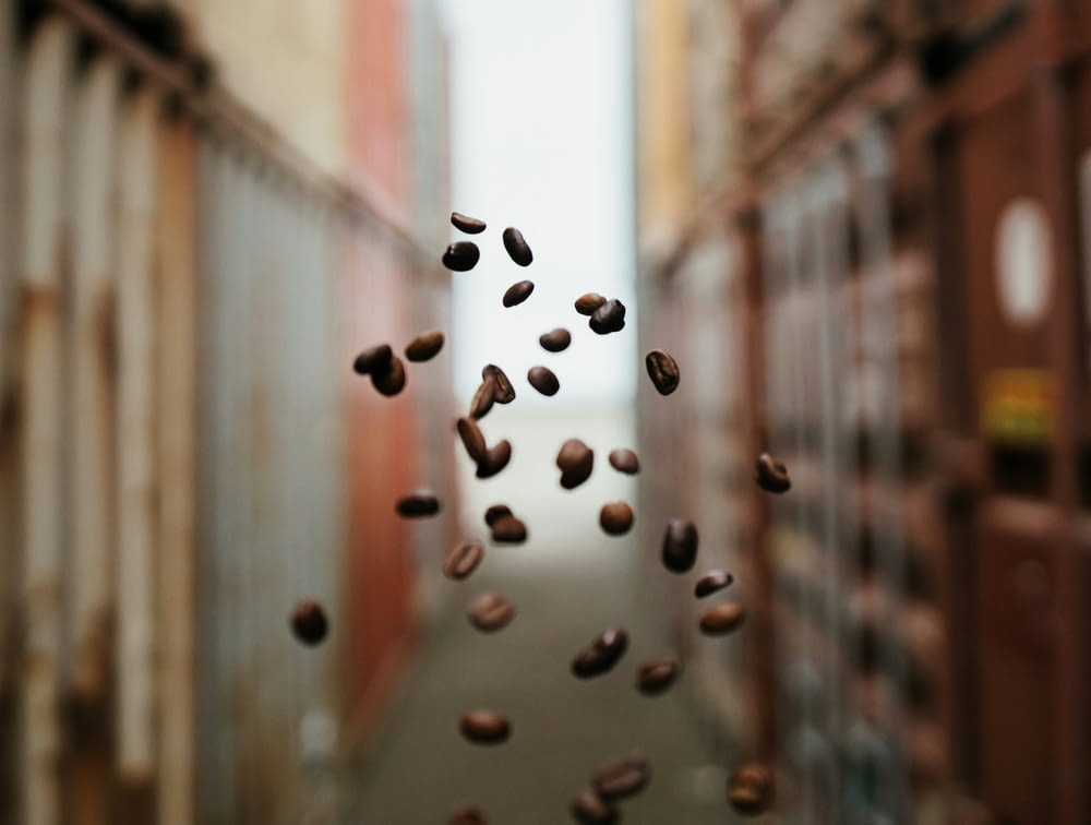 a bunch of coffee beans hanging from a window