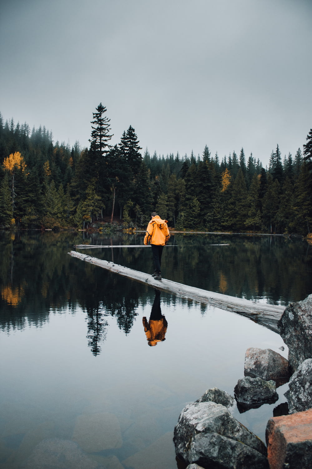 a person standing on a log in the middle of a lake