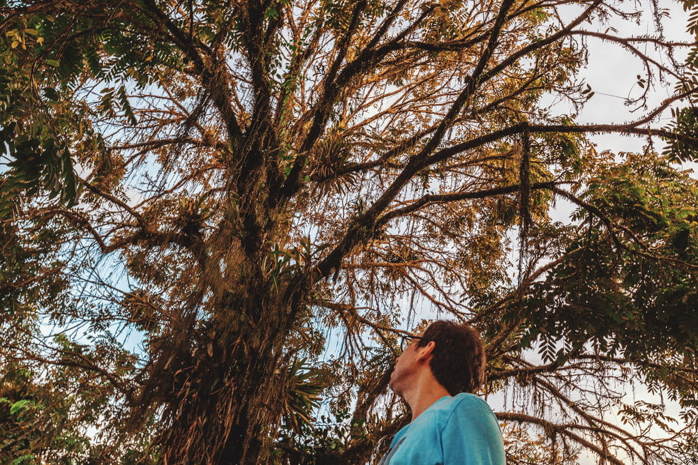 woman in blue hoodie standing near brown bare tree during daytime