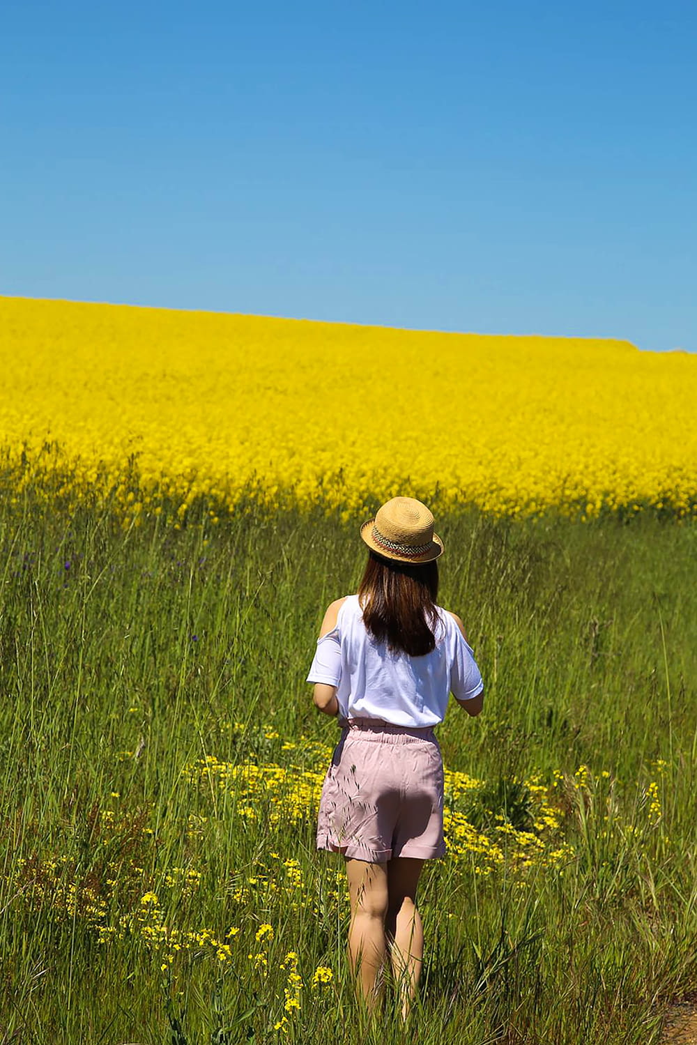 woman in white shirt and brown sun hat standing on yellow flower field during daytime