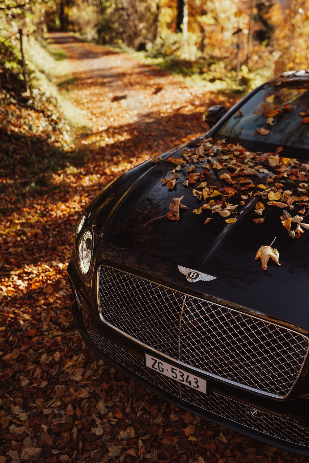 black bmw car with dried leaves on ground