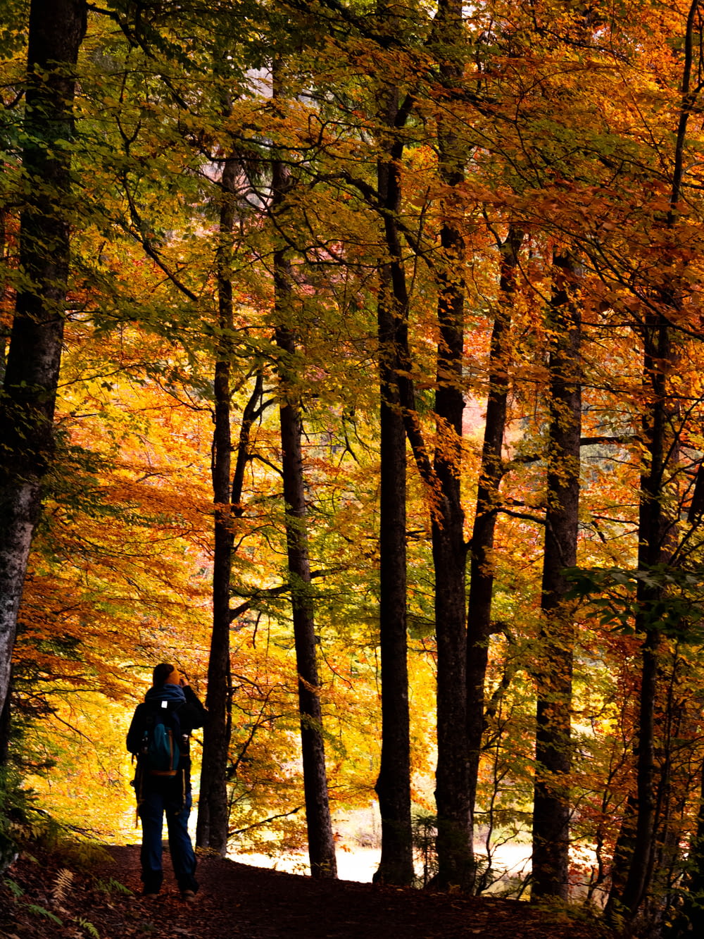 person in black jacket walking on forest during daytime