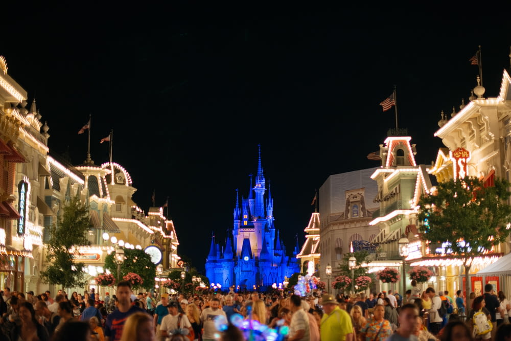 people standing near disney castle during night time