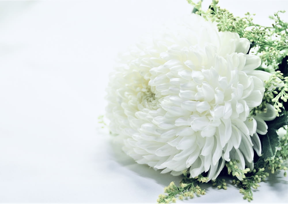 white flower bouquet on white surface