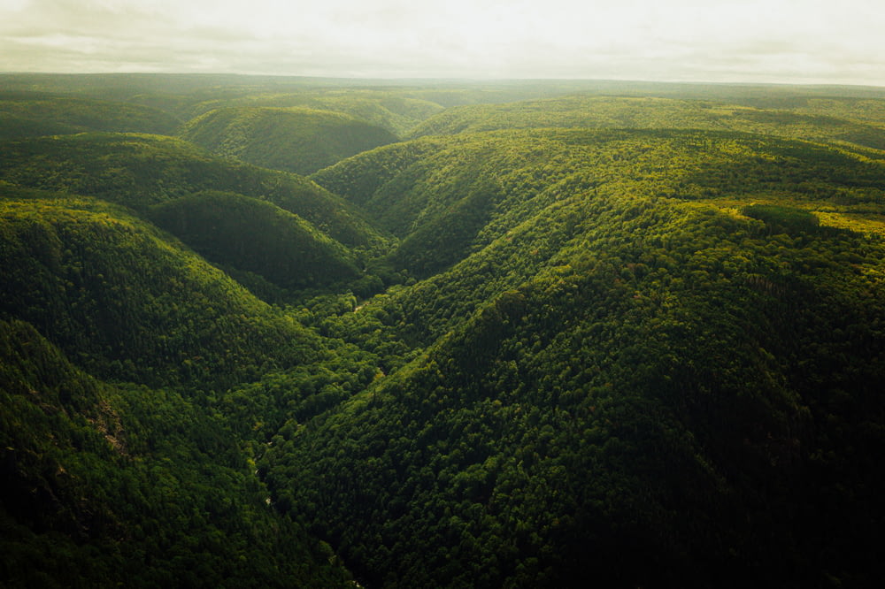 an aerial view of a lush green valley