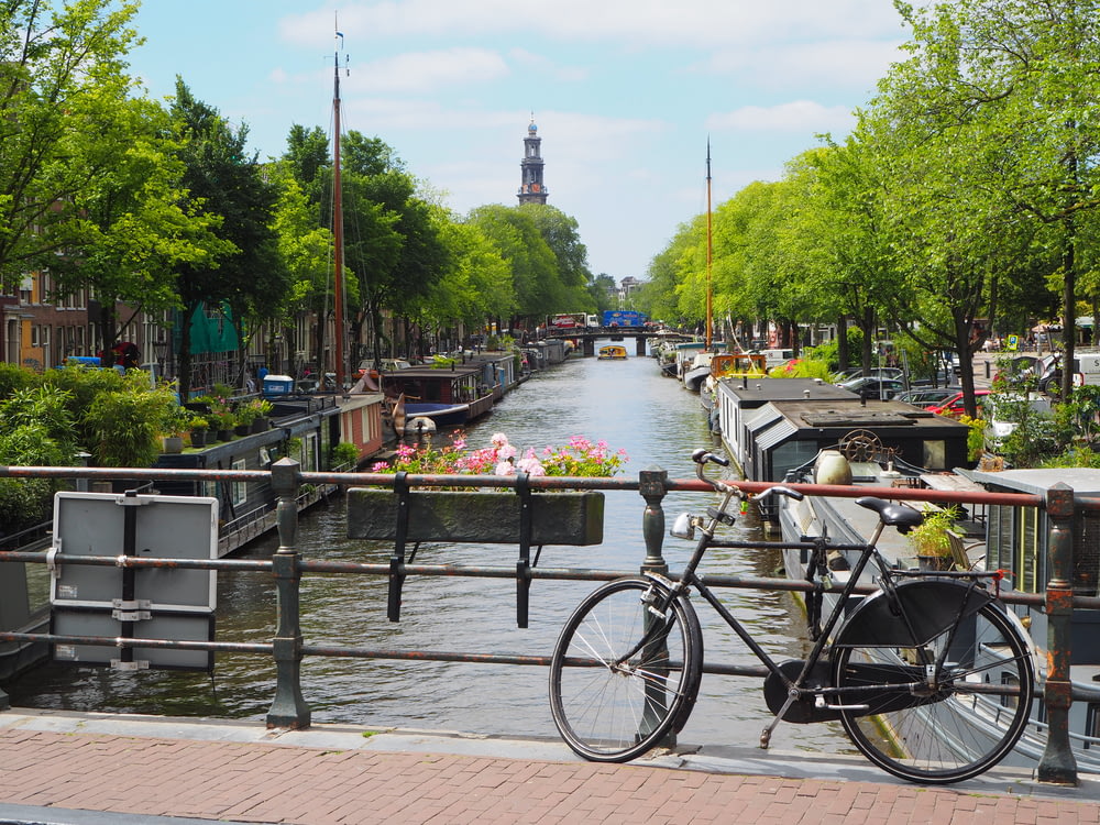 bici da città nera parcheggiata accanto al fiume durante il giorno
