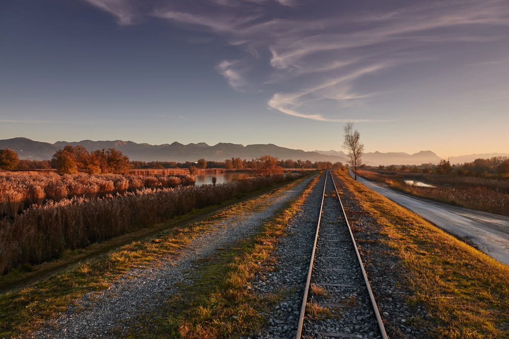 black train rail between green grass field under blue sky during daytime
