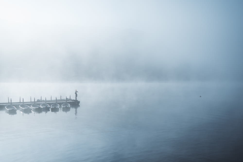 body of water with fog