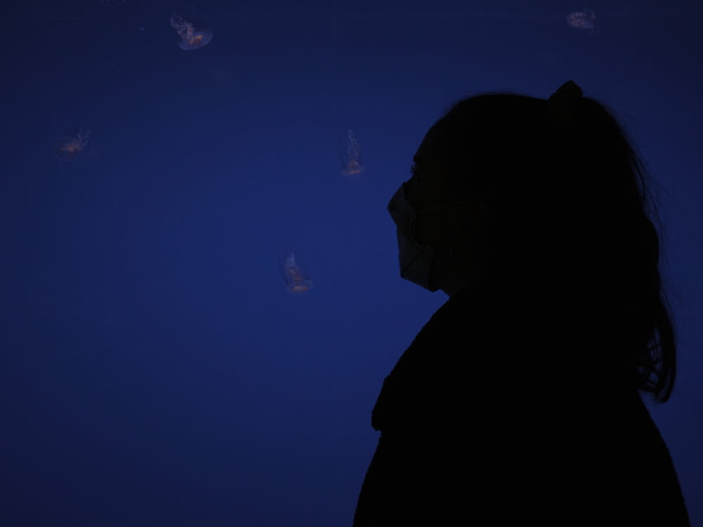silhouette of man looking at blue and white lights