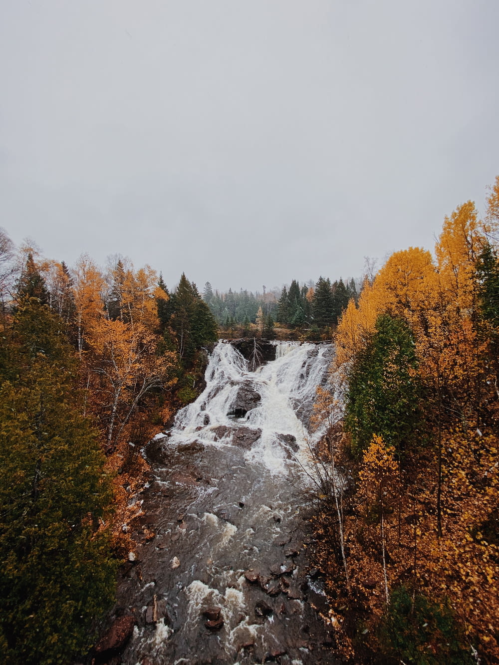 brown and green trees near waterfalls under white sky during daytime