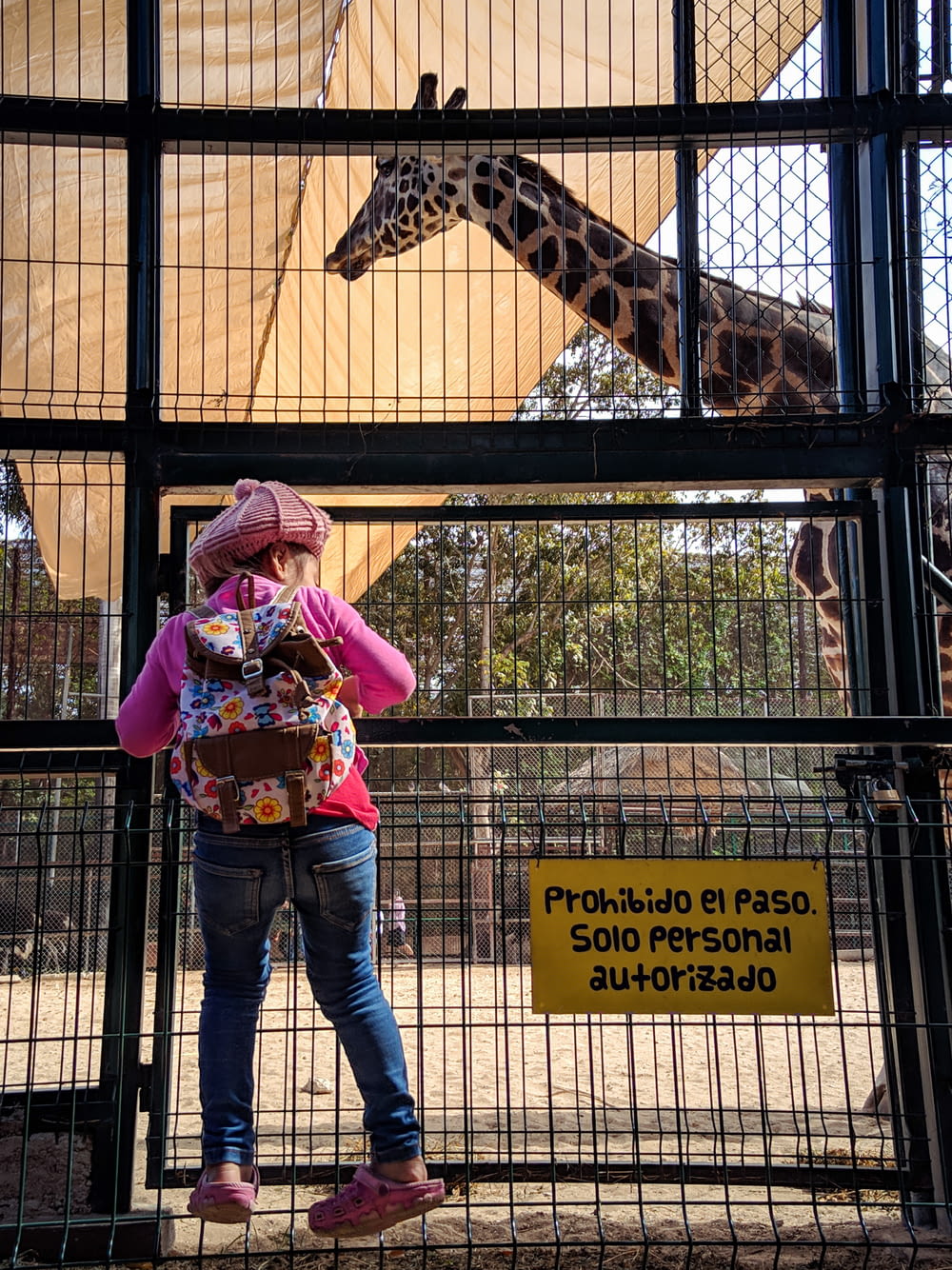 girl in pink shirt and blue denim jeans standing beside giraffe