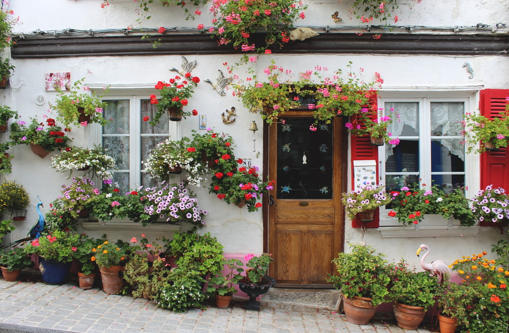 fiori rossi e rosa su porta di legno marrone