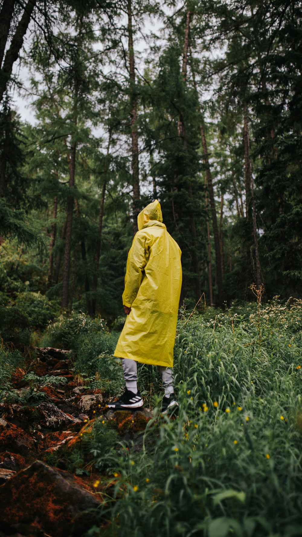 person in yellow hoodie standing on forest during daytime