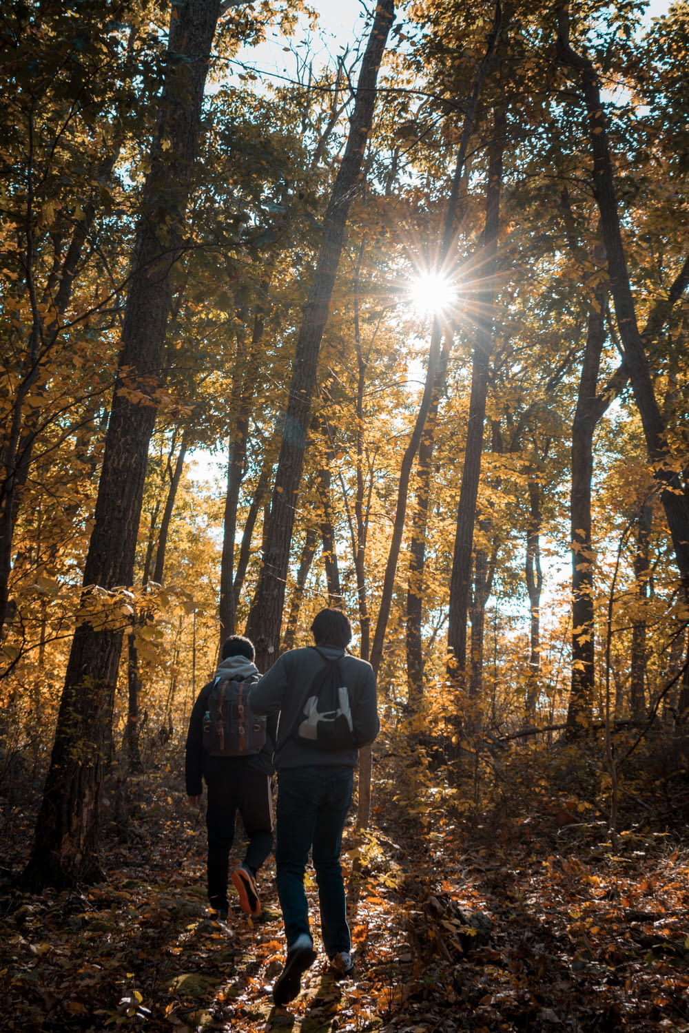 man and woman standing in forest during daytime