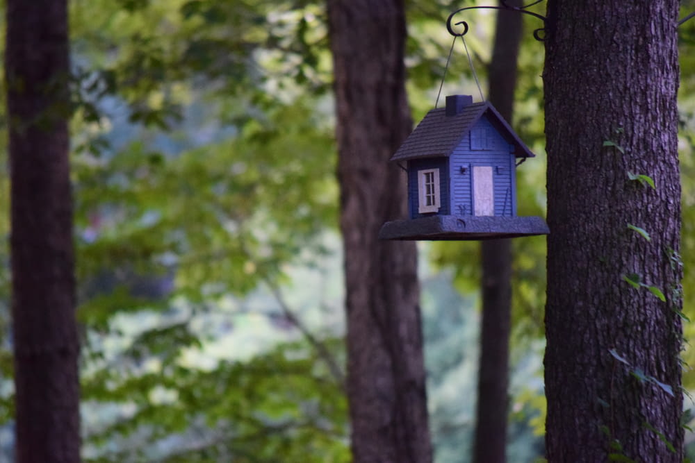 blue and white wooden birdhouse on tree branch during daytime