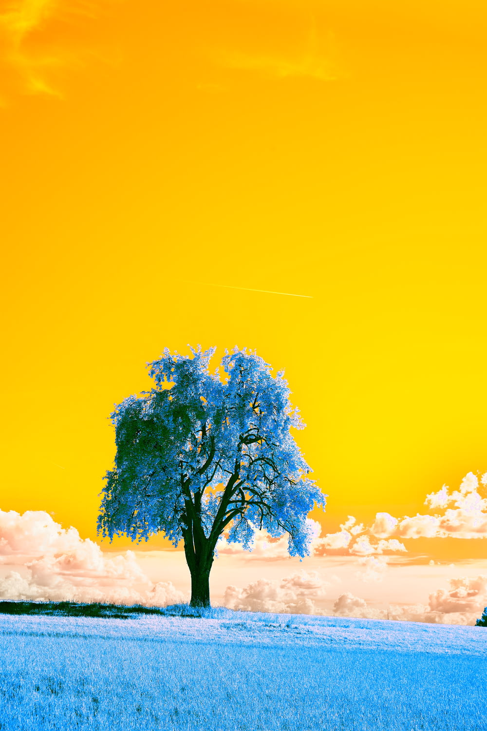 albero verde sotto il cielo blu durante il giorno