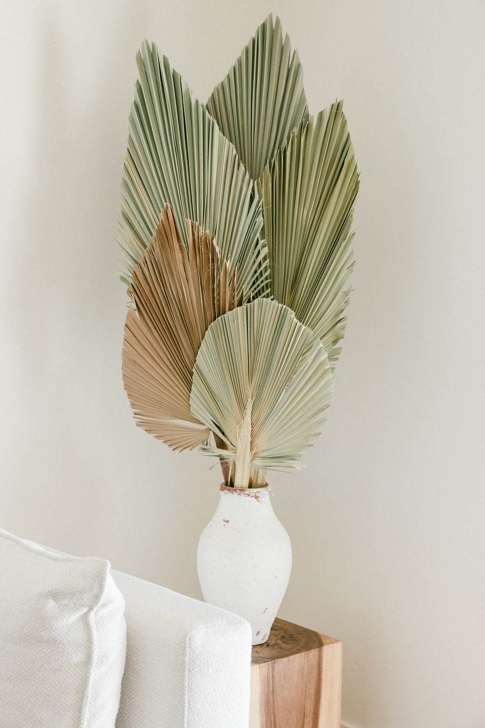 green and brown plant on white ceramic vase