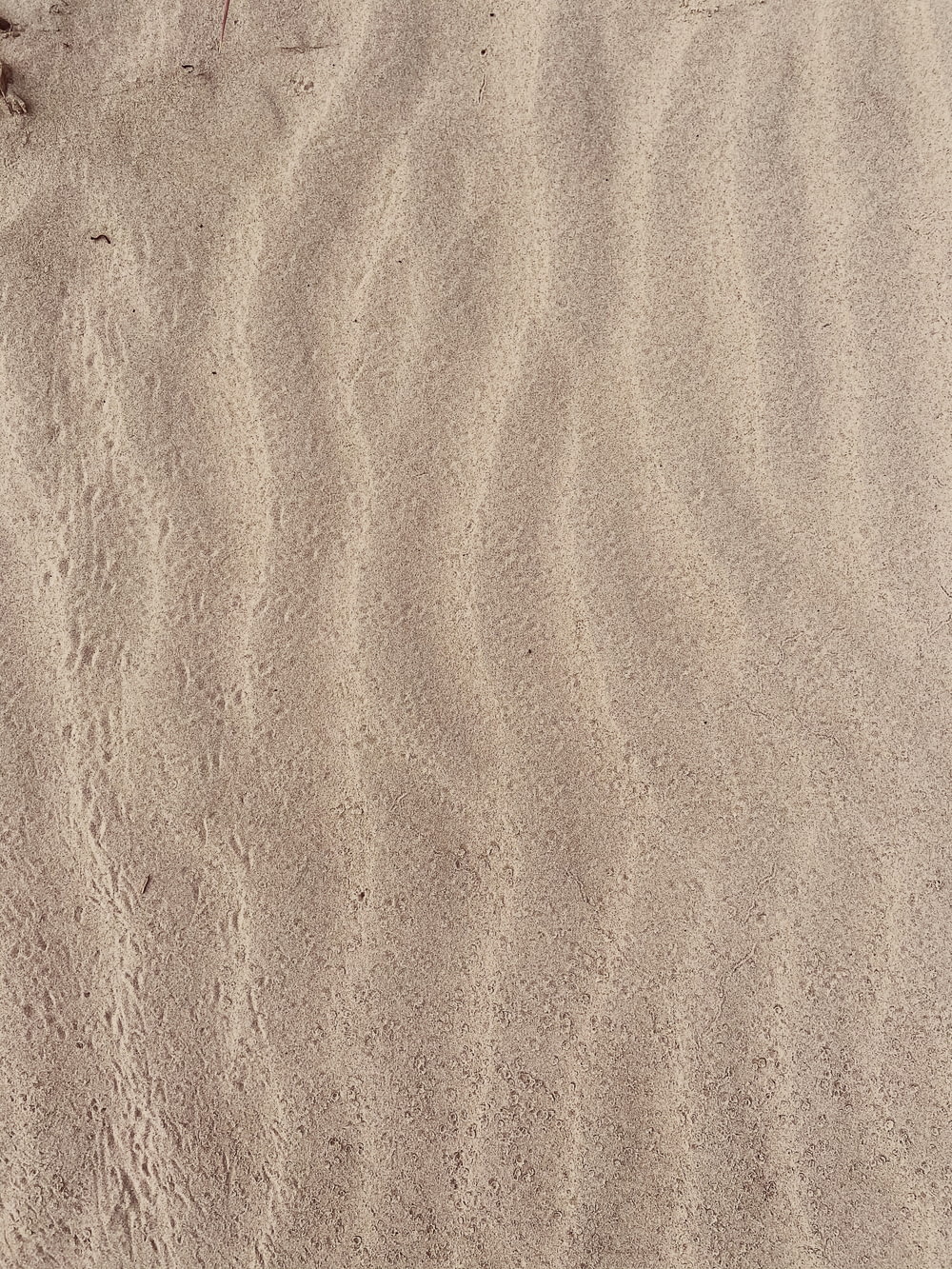人の影のある茶色の砂