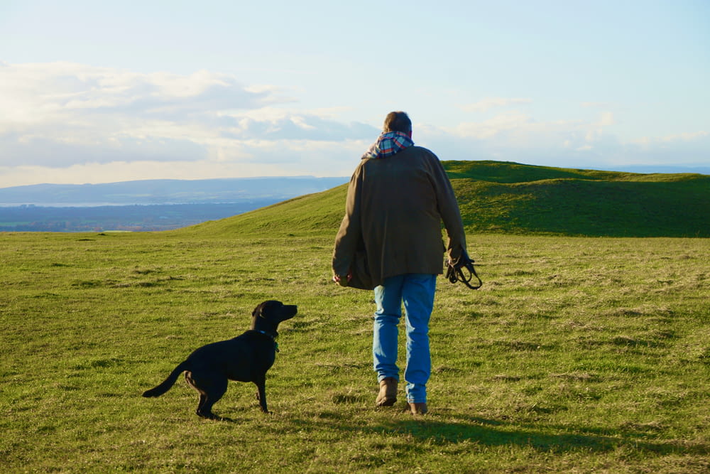 man in blue jacket standing beside black labrador retriever on green grass field during daytime