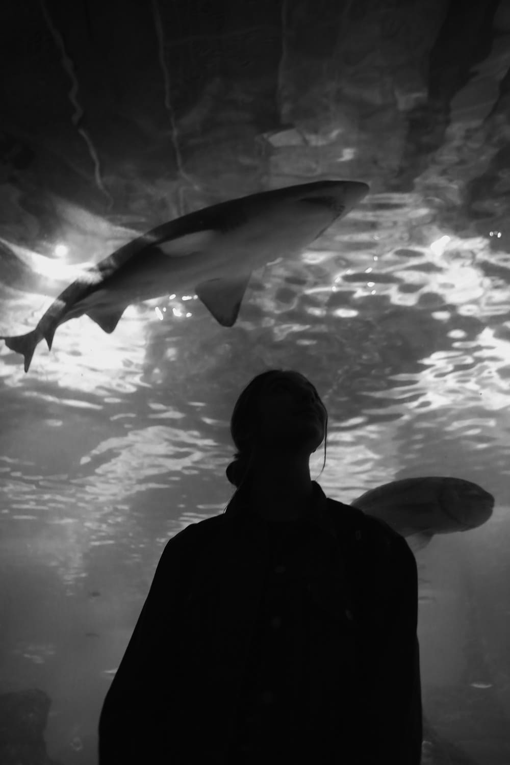 grayscale photo of man in black jacket standing beside fish