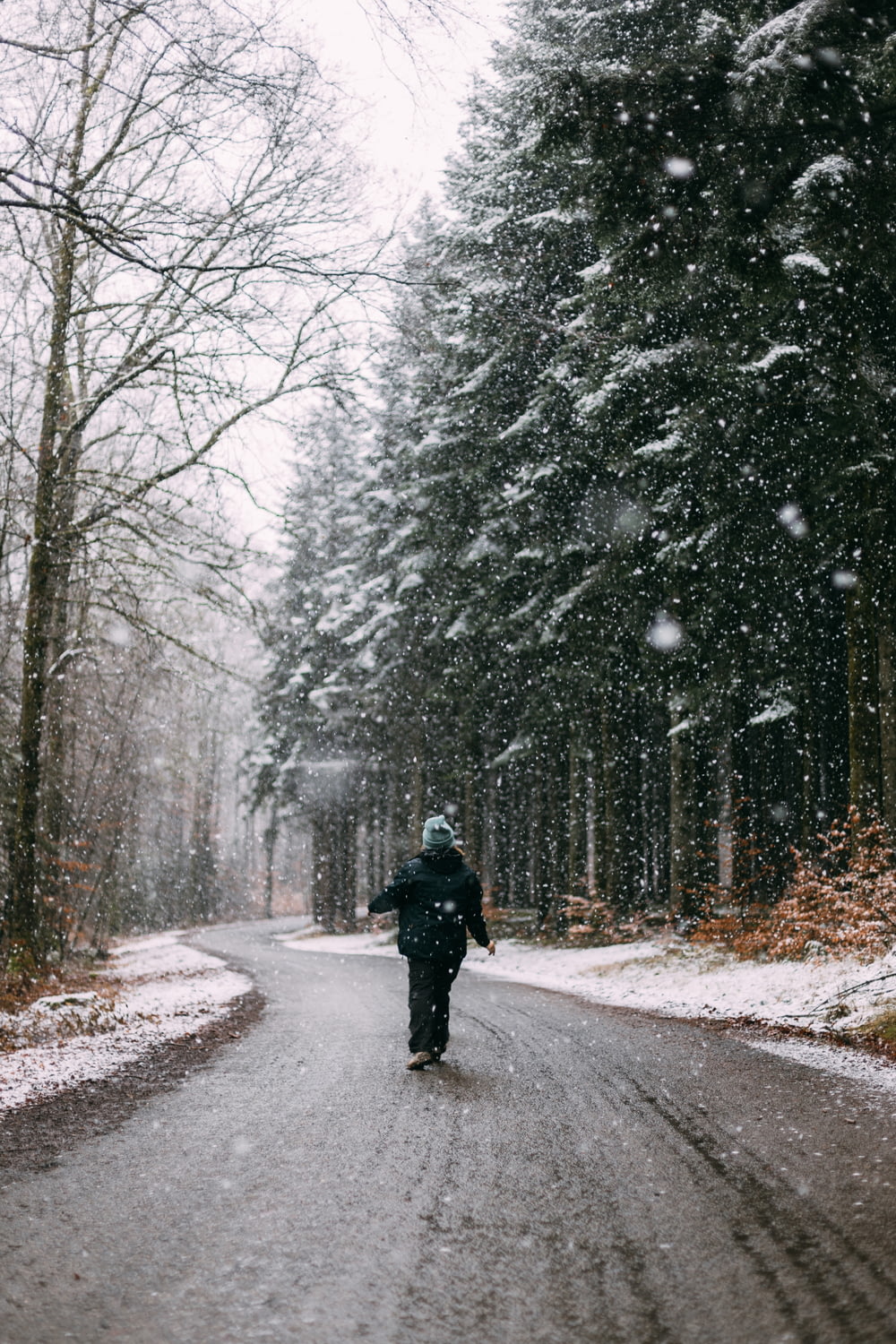 person in black jacket walking on road between trees covered with snow during daytime