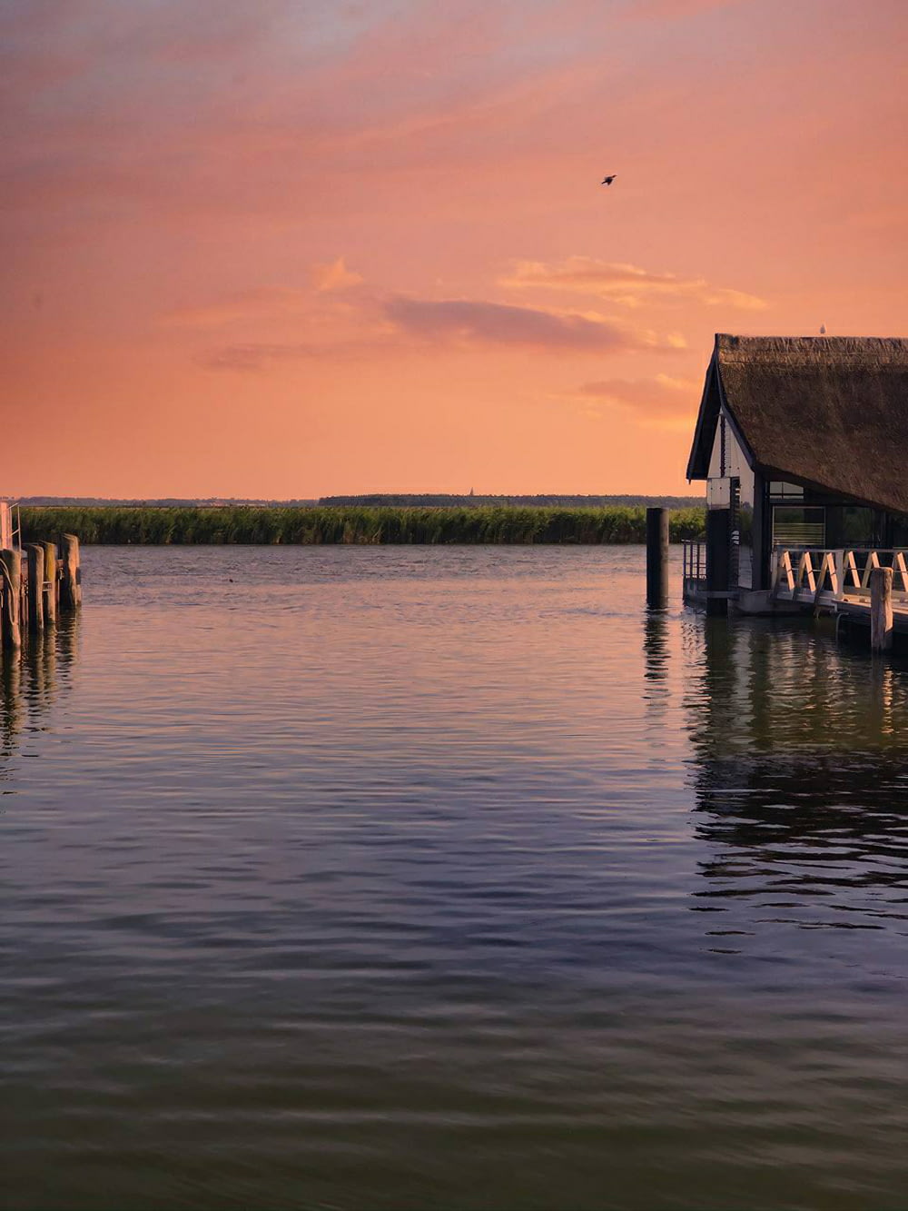 brown wooden house on water during sunset