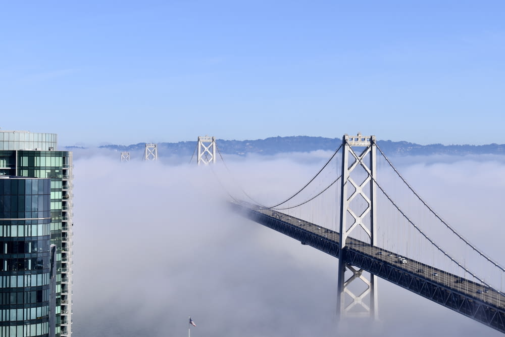 bridge over the fog during daytime