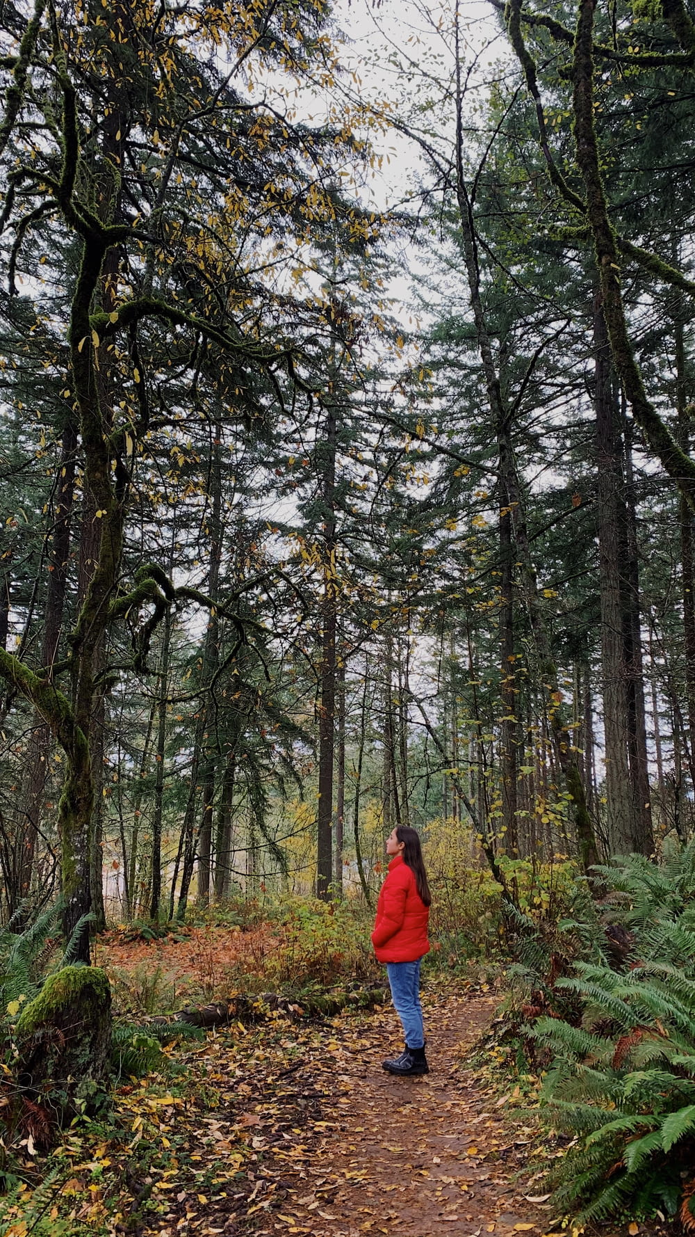 pessoa em jaqueta vermelha em pé na floresta durante o dia