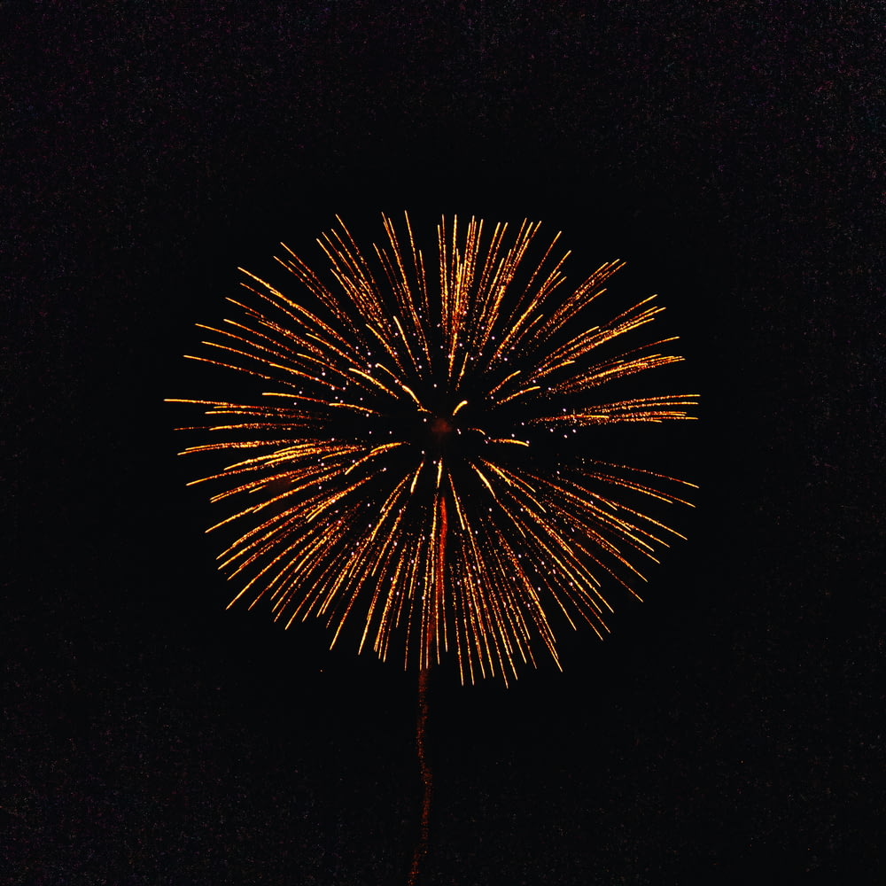 red and white fireworks during night time