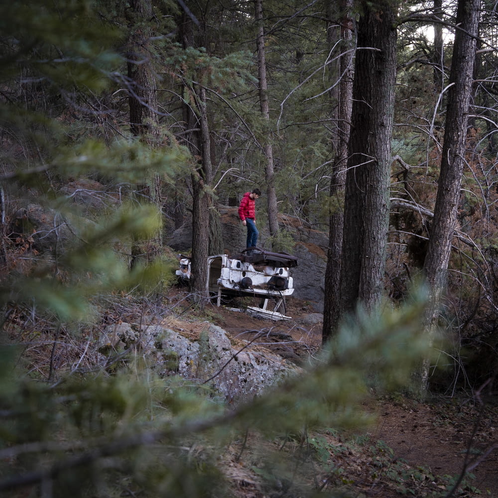Persona con chaqueta roja parada en un camino de tierra marrón en el bosque durante el día