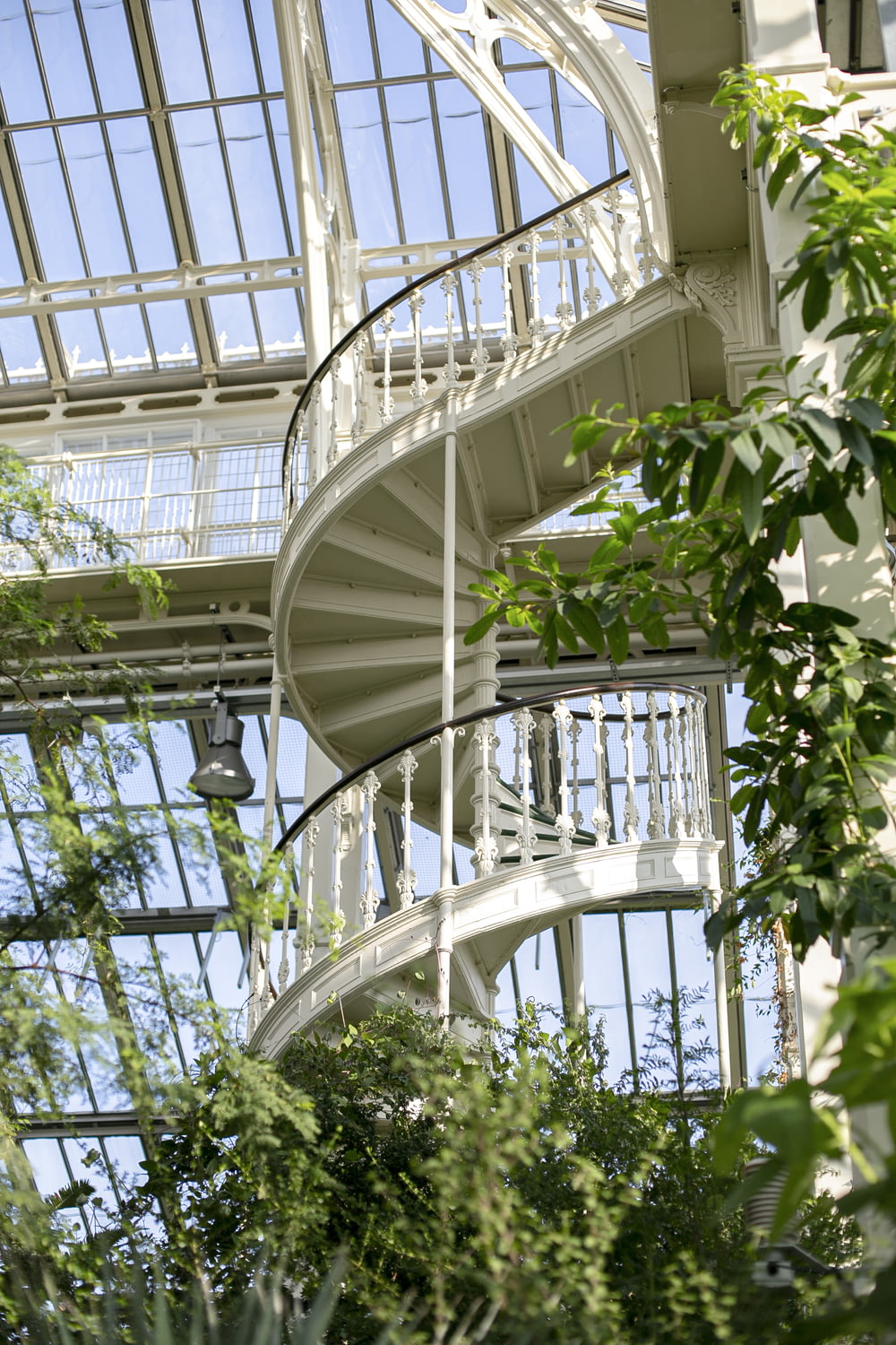 白い螺旋階段の近くに緑の植物