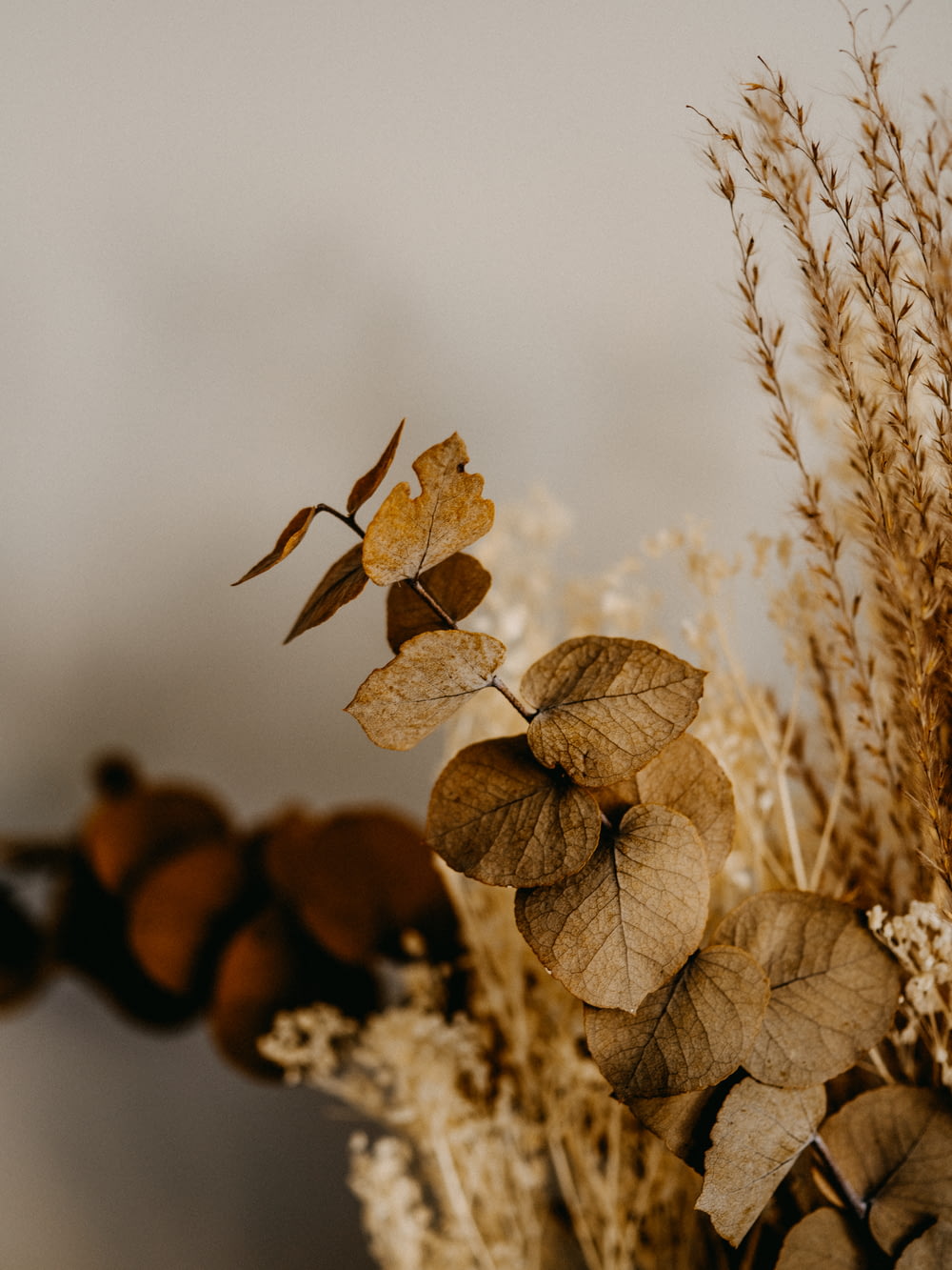 チルトシフトレンズの茶色の乾燥した葉