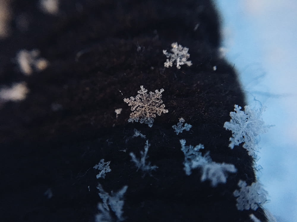 white snow flakes on black textile