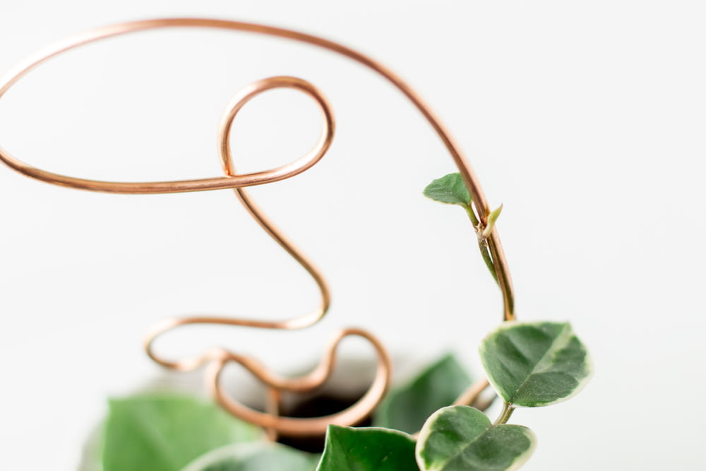 brown metal wire on green leaves