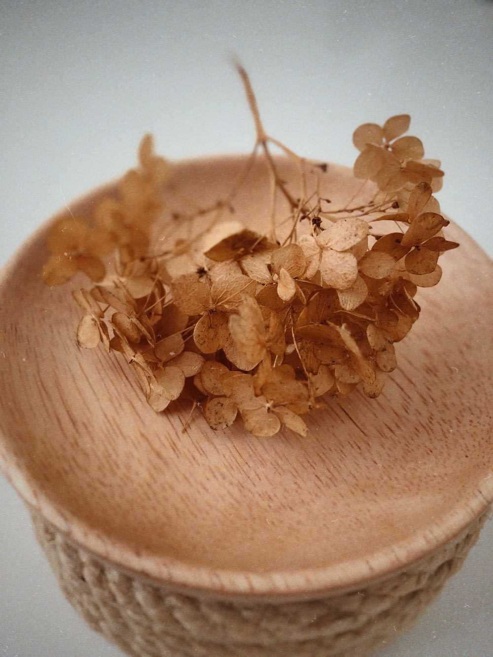 brown wooden round bowl with brown dried flower petals