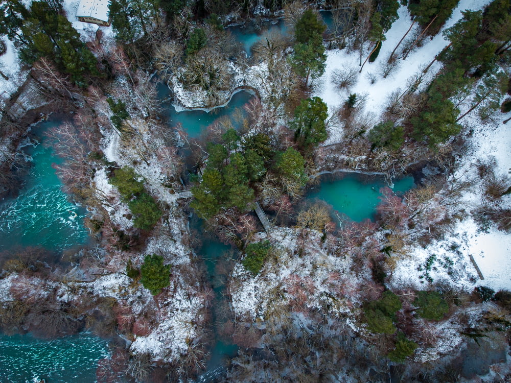 Veduta aerea del lago circondato da alberi coperti di neve durante il giorno
