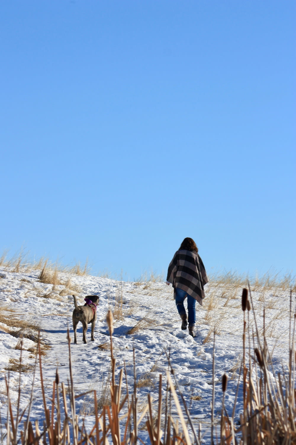 Frau in schwarzer Jacke geht tagsüber auf schneebedecktem Boden spazieren