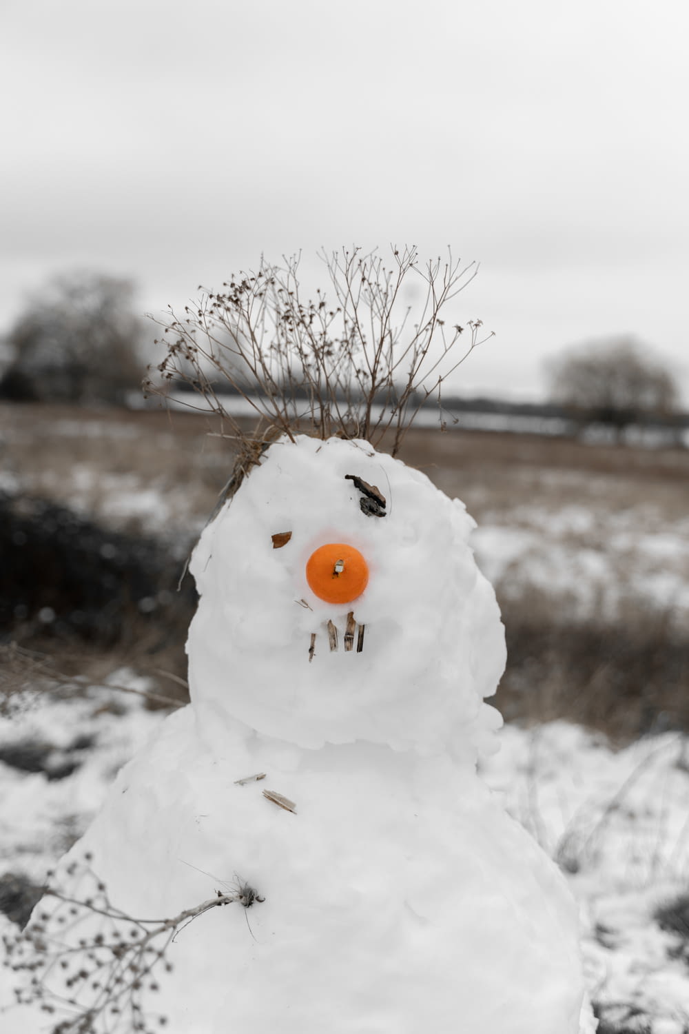 white snowman with orange round fruit