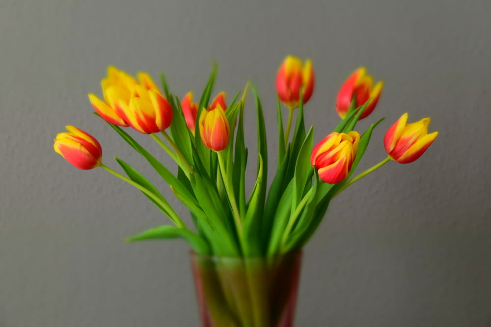 yellow and red tulips in green vase